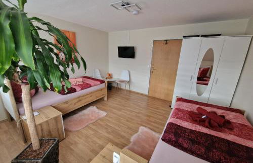 Zimmervermietungen Jachna - Foto 26