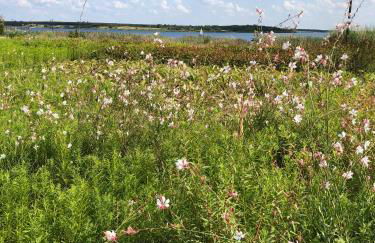 b3 - bike & bed bitterfeld - Foto 55