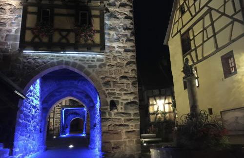 Apartment in Riquewihr near Vineyards - Foto 26