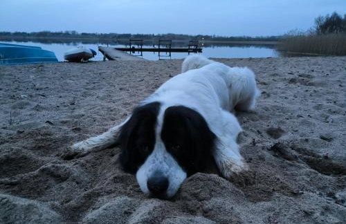 Przystań Jeziorany - willa nad jeziorem - Warmia i Mazury - Foto 69