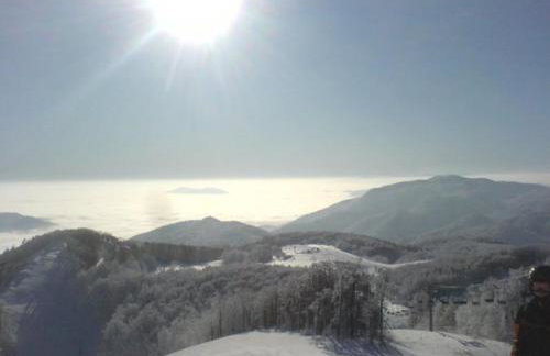 Apartments Nino - Foto 30