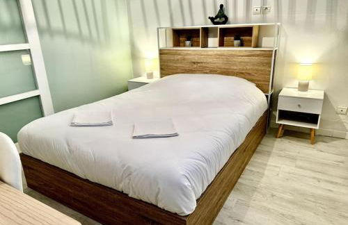 T3 Sauna Box-Parking gratuit Monplaisir-Lumière - Foto 1