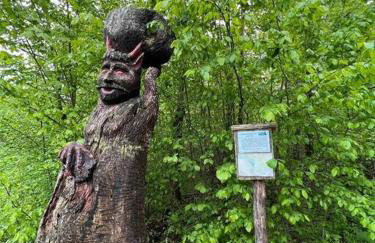 Dom Podróżnika -aktywne wakacje - Foto 31