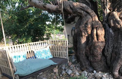 Dream Finca for nature lovers in Alaró! - Foto 31