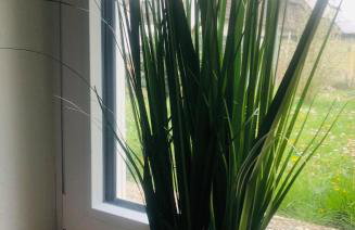 Wohnung Feldmann - Foto 7