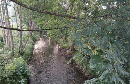 Ferienwohnung am Schwarzwaldrand - Foto 18