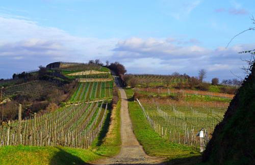 Dürkheimer Auszeit-gemütliches Studio am Kurpark - Foto 16