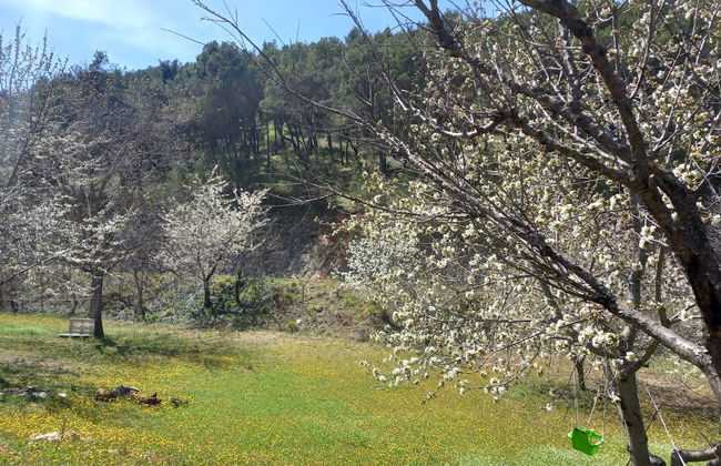 Immaculate 2-bed Cottage Near Krka Waterfalls - Foto 8