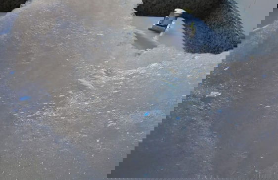 Sitio Cantinho Vovó Cida e Vovô Nilson - Foto 27