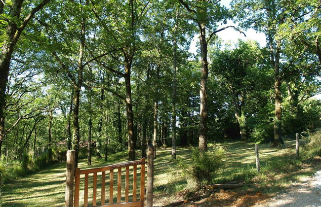 Le Noisetier - Foto 26