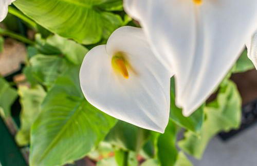 Un quadro sul Chianti - Foto 35