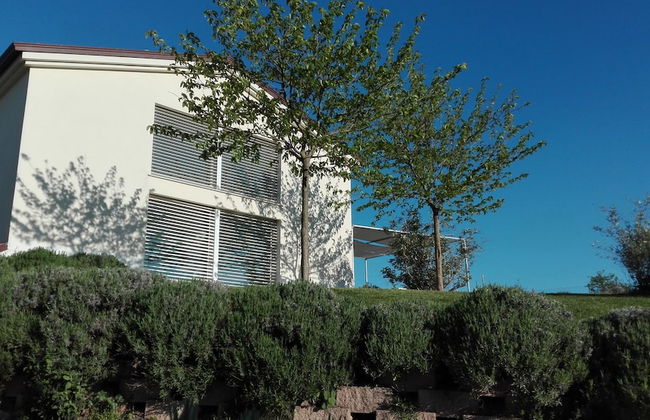 Hillside Villa With Swimming Pool and Jacuzzi - Frasassi Caves - Foto 27