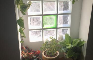 La Granada - Foto 10