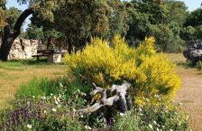 La Casona de Requijada a 6km de Pedraza con Piscina - Foto 9