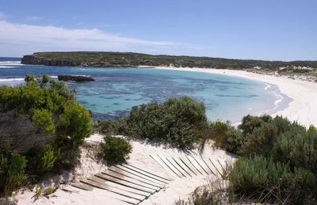 Hanson Bay Wildlife Sanctuary and Cabins - Photo 28