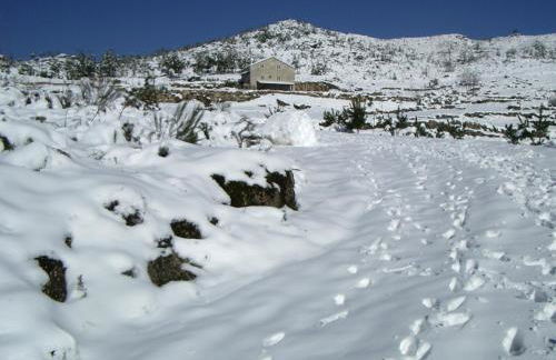 Quinta De Cabrum - Foto 26
