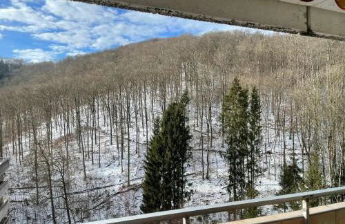 Apartment Beletage Bad Harzburg - Foto 32