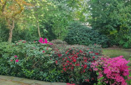 BMS BALANCE - Natur, Entspannung, King Size Bett, Free Parking, TOP Lage, Netflix - Foto 25