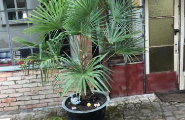 Ferienwohnung Zentral - Foto 31