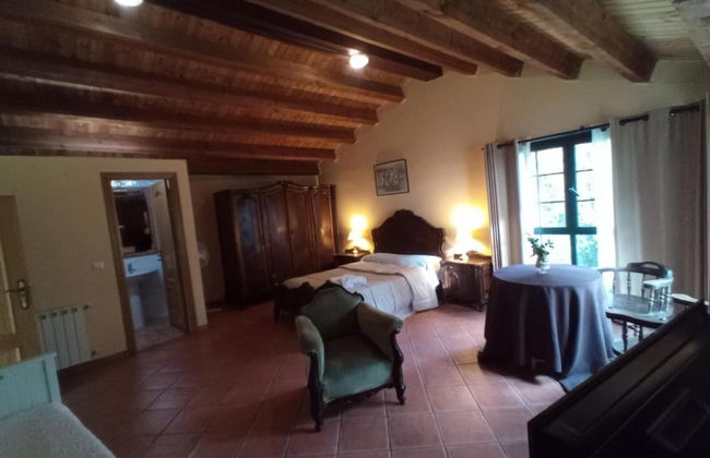 Casa do Cribeiro - Photo 5