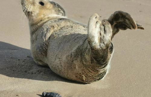 AnchorageWells Harbour Apartment - Foto 32