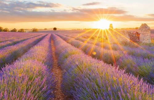 La Villa Tria Castella - Foto 29