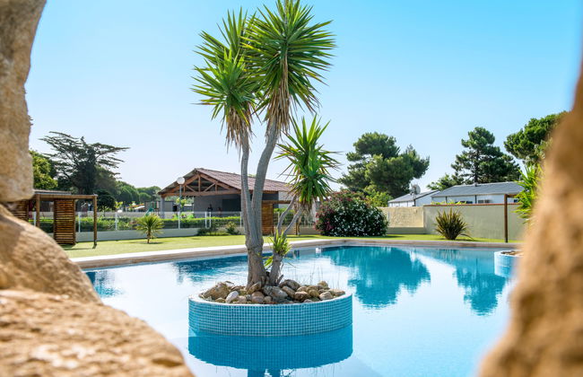 Domaine Les Mûriers - Foto 42