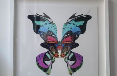 New Boutique Ground Floor Apartment - Photo 49