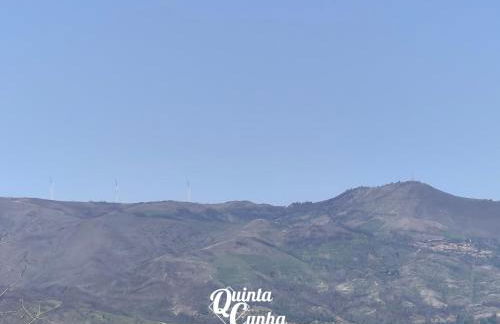 Quinta Cunha - Foto 47