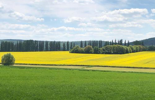 W Kręgu Natury - Foto 32