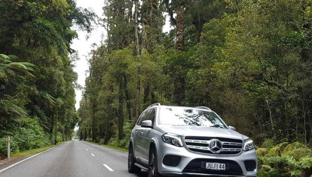 Milford Sound Private Tour - Foto 3