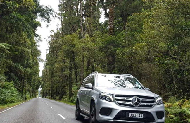 Der Routeburn Track - Geführter Ganztages-Wanderung - Foto 4