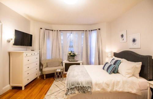 Spacious Studio, Coolidge Corner, Public Transpor - Foto 1