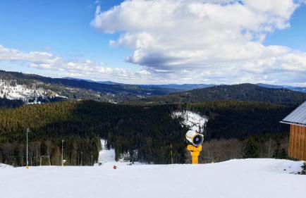 Two Apartaments Almberg - Mitterdorf-Mitterfirmiansreut - Foto 34