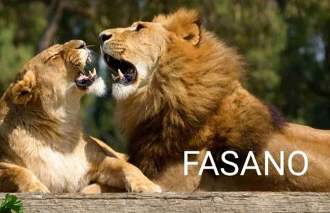 Casa La Noria - Foto 36