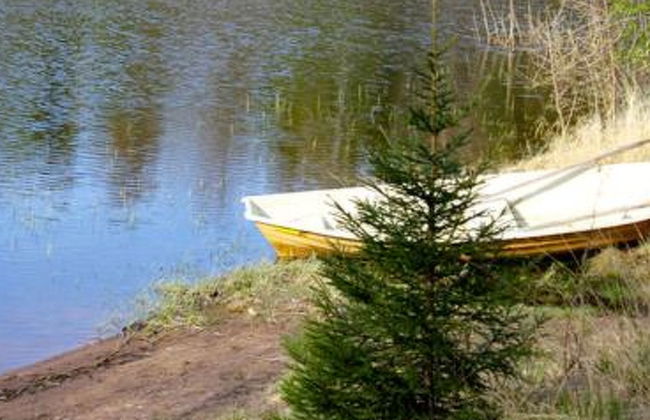 Hirviharju - Foto 21