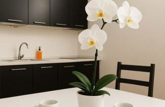 Modern Apartment in Milan, Isola area - Foto 14