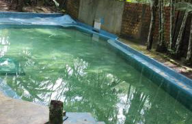 Chácara Bela Vista - Photo 49