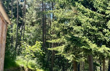 Chalet dans la verdure - Les Chapeliers - Foto 9