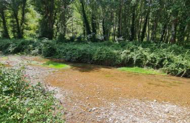 La casa del bosque - Foto 35