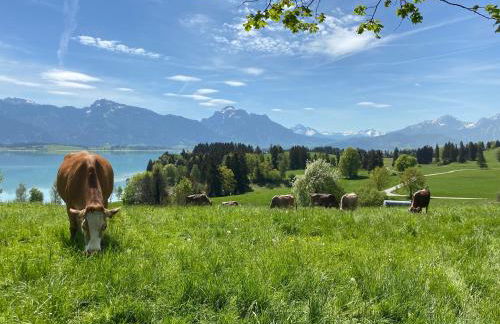 Best Butler Boho Boutique City Apartment Netflix - Foto 31