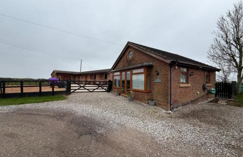 The Bungalow - Photo 12