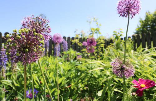 3 Rock Cottages - Foto 15