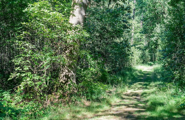 Holiday Home in Lochem With Garden View - Foto 34