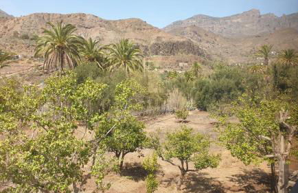 Casa Ansite - Foto 22