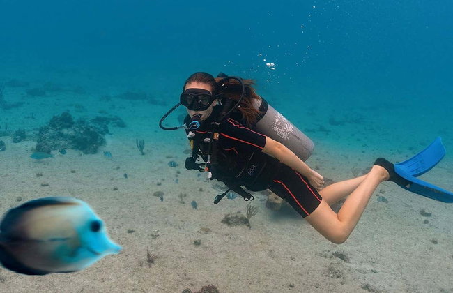 Buceo en Cozumel - Foto 6