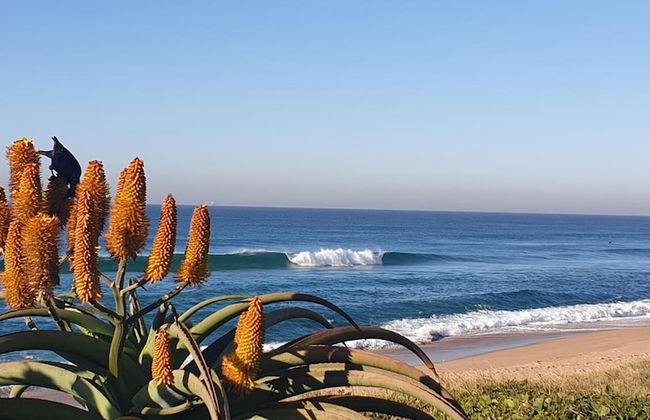 809 Umdloti Resort - Photo 42