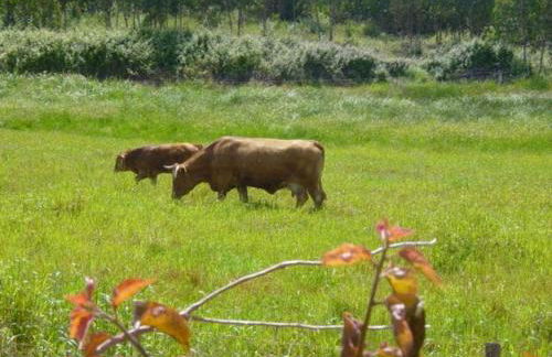 A Place in the Sun - Foto 2