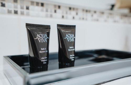 VICHY - Temple Court Superb apartment in City Center - Foto 30