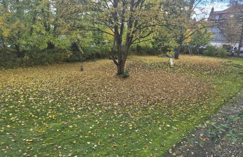 Schwarzwald City Loft 1 - Foto 23